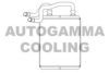 AUTOGAMMA 105277 Heat Exchanger, interior heating